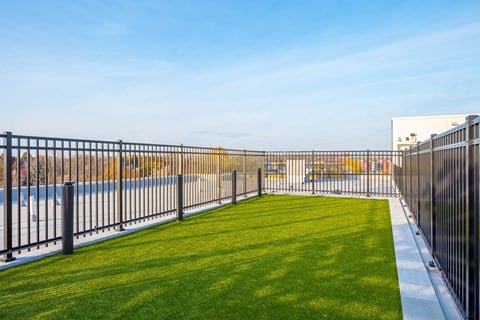 a grassy area with a fence